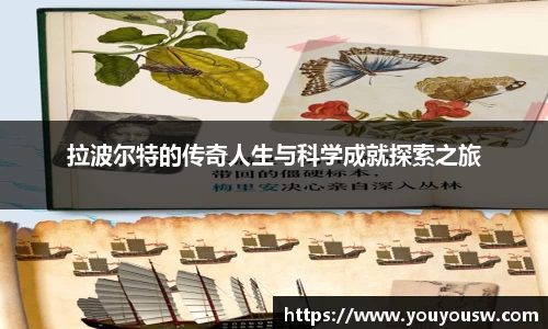 竞技宝官方网站